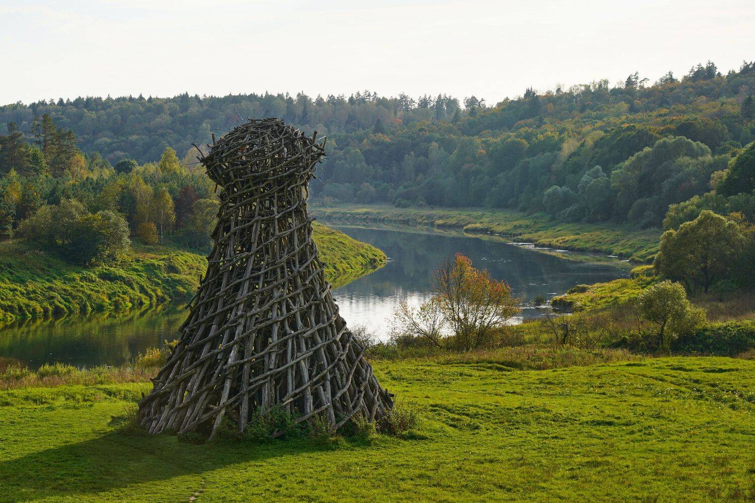 Photo #11133264