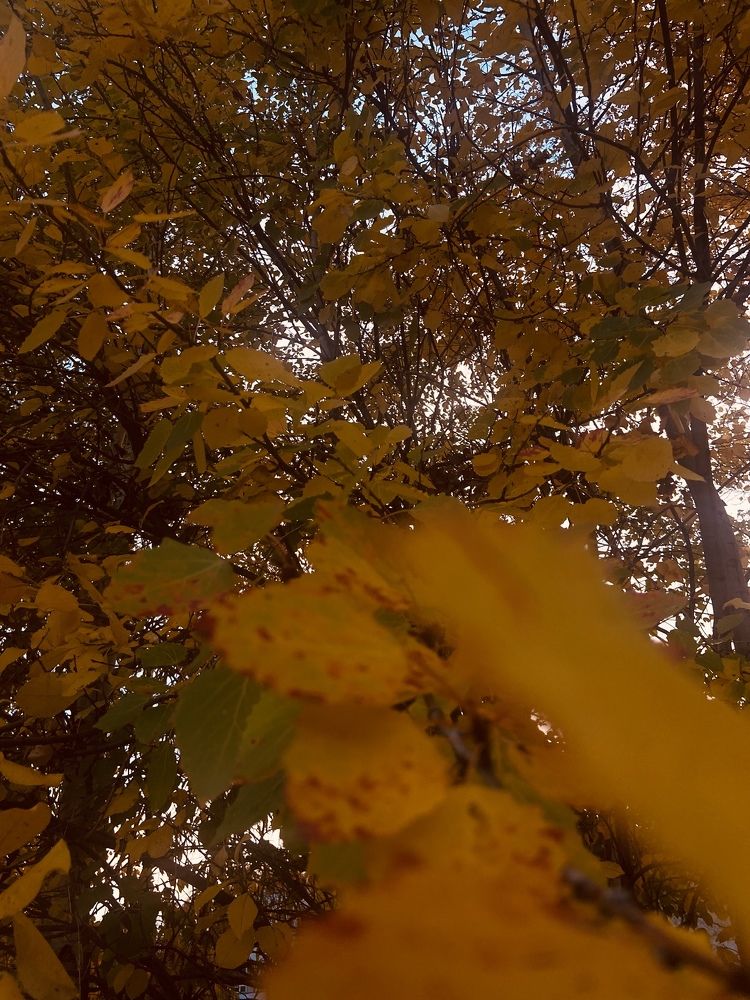 Photograph by Елена Мусина