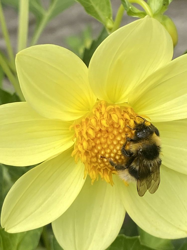 Photograph by Елена Мусина