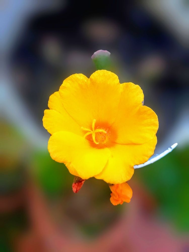 Photograph by Anila Ismailaj