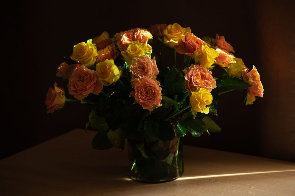 Photograph by Елена Гостева