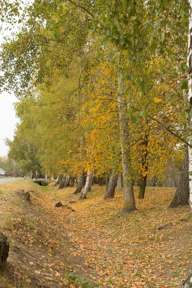 Photograph by Елена Мотина