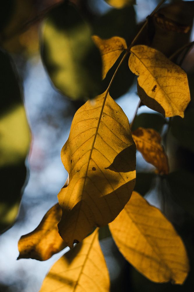 Photograph by Александра Стригунова