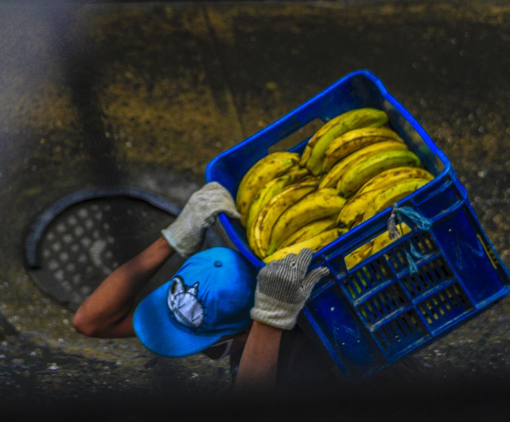 Фотография автора Suarez Silva Malva