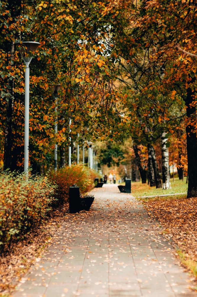 Photograph by Александр Перепечин