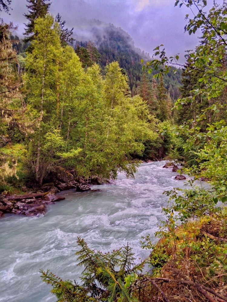 Photograph by Галина Григорьева