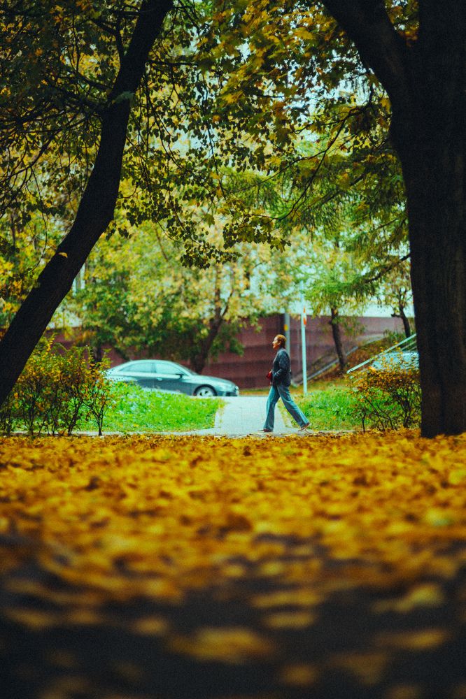 Photograph by Александр Перепечин