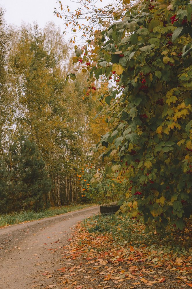 Photograph by Елена Мотина