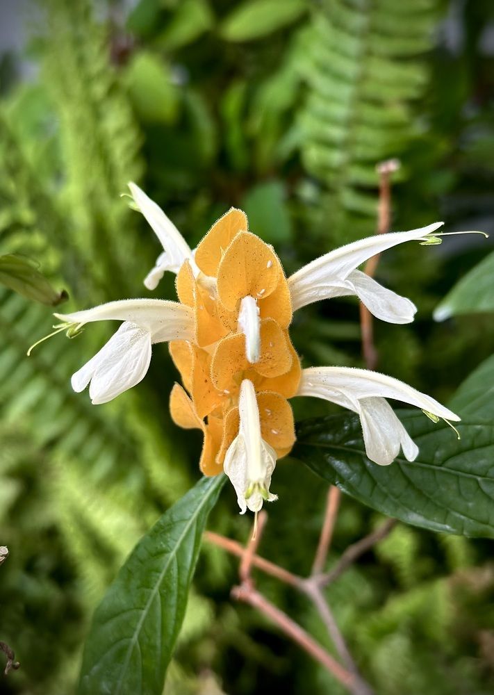 Photograph by Наумова Татьяна