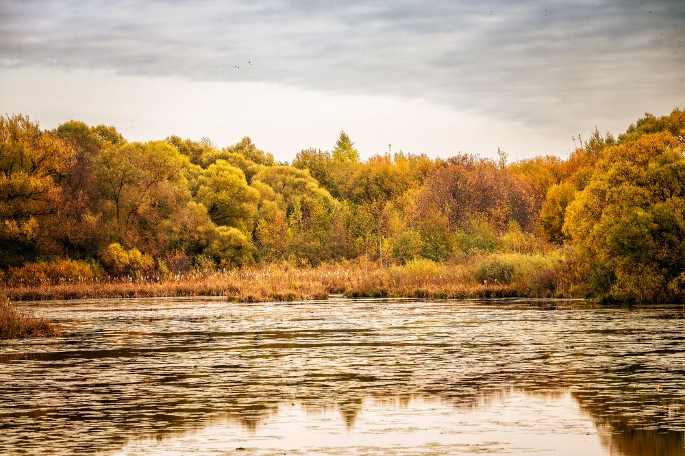 Photograph by Ивлев Артем