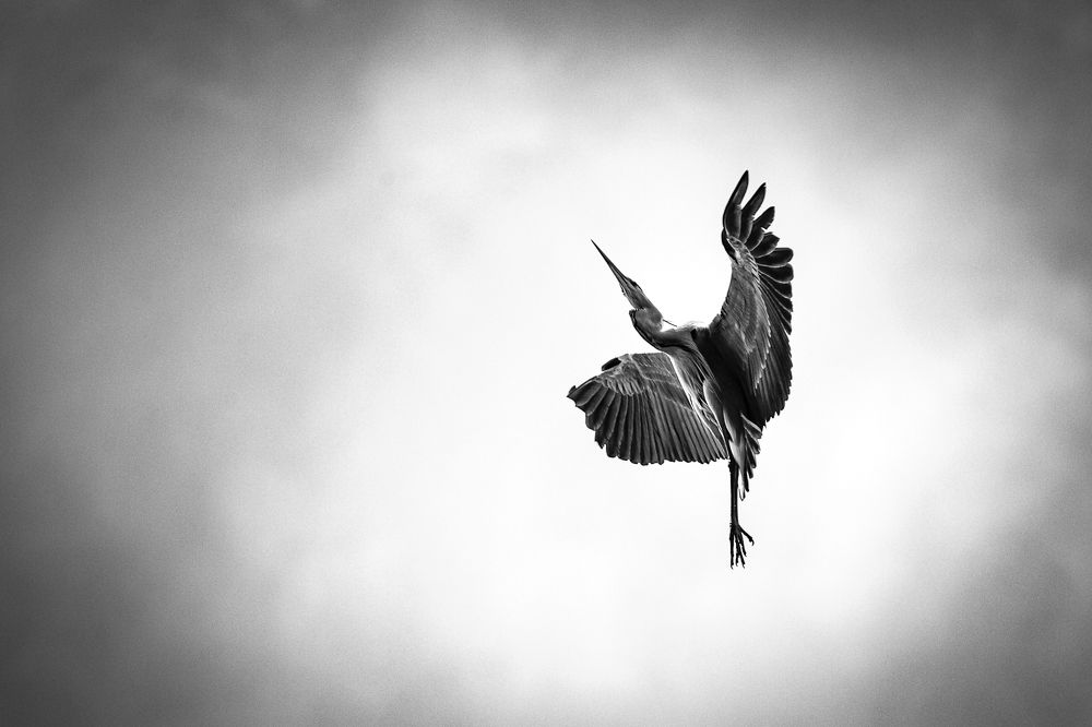 Photograph by Георгиевская Елена