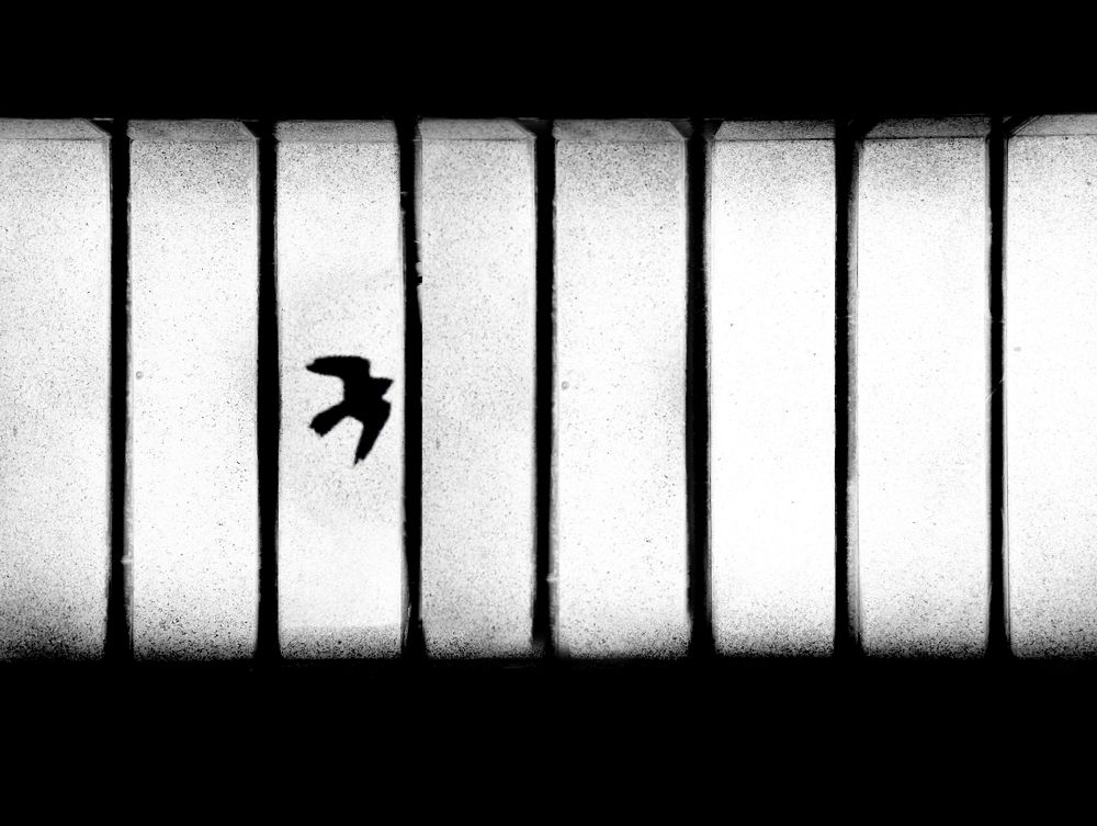 Photograph by Shakila Fathollahzadeh