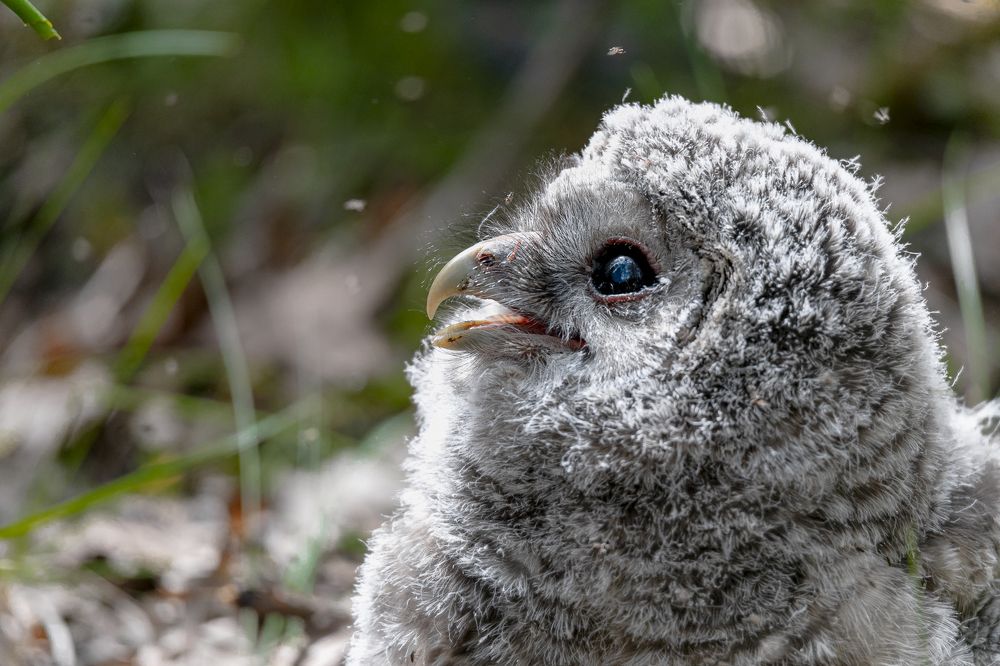 Photograph by Георгиевская Елена