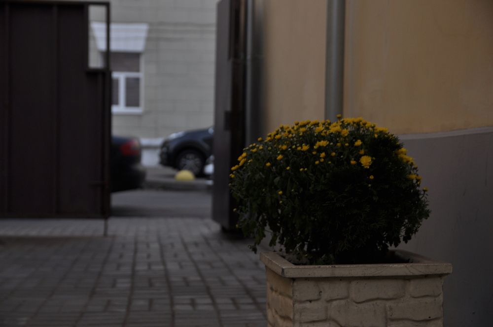 Фотография автора Алина