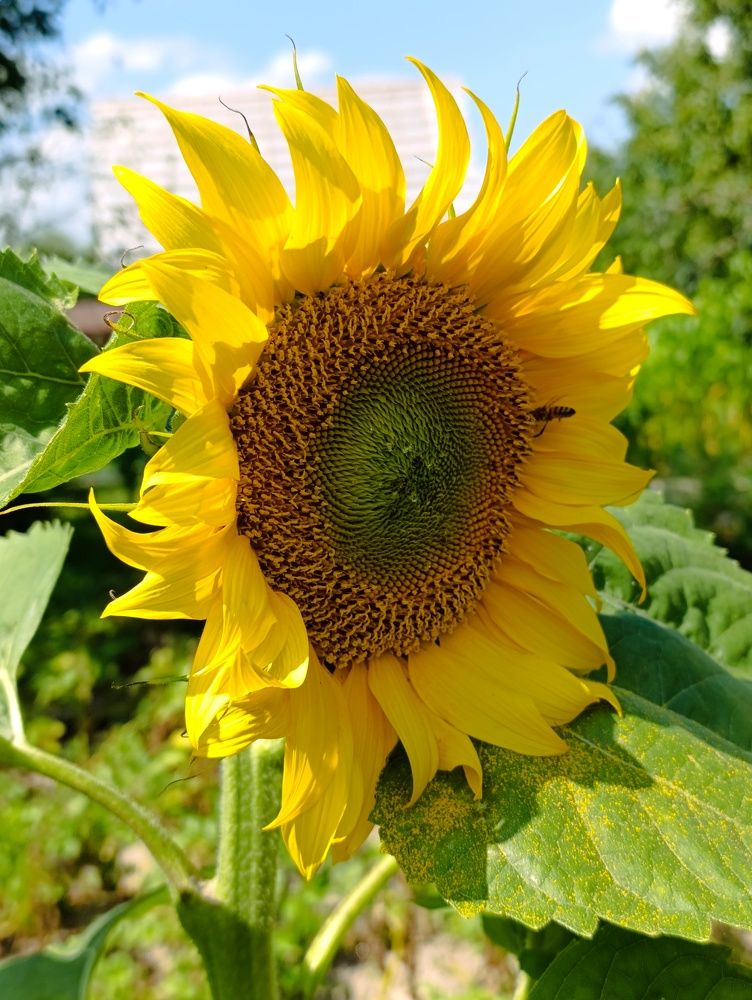 Photograph by Светлана Таркан