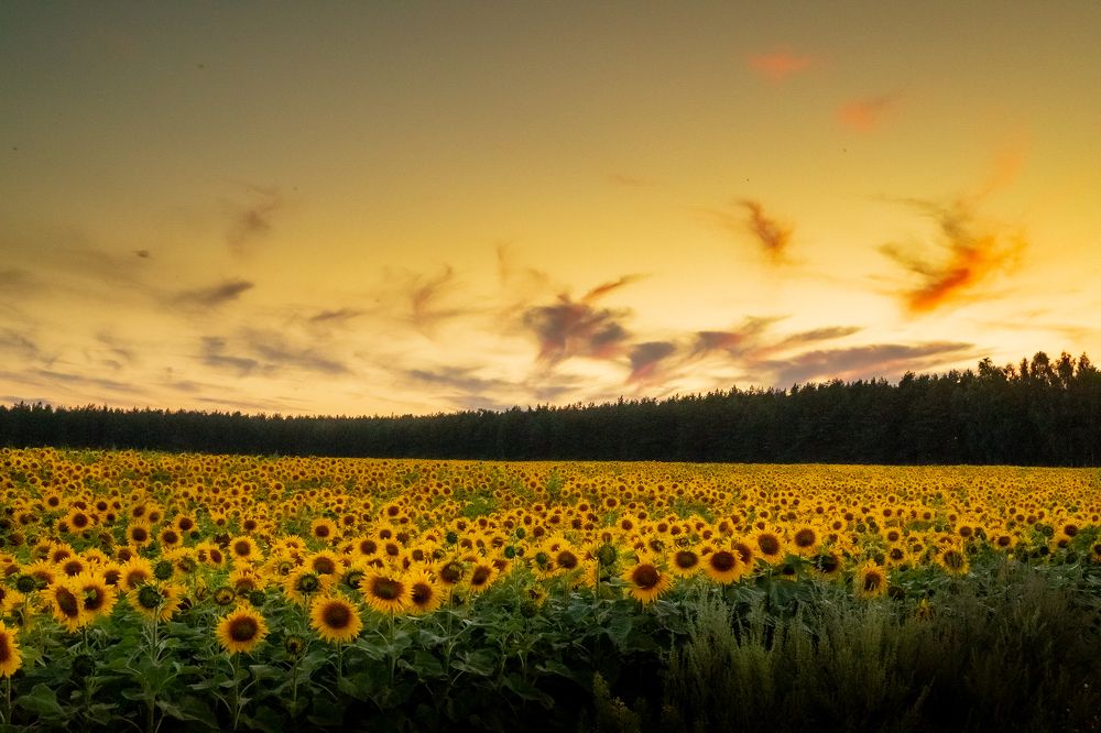 Photograph by Наумова Татьяна