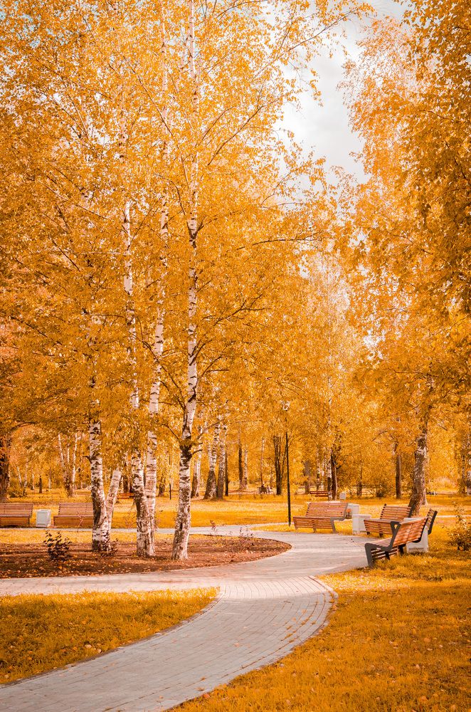 Photograph by Артём Шестаков