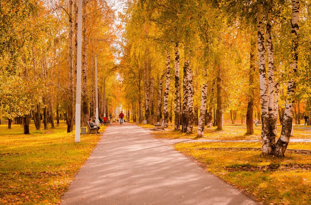 Photograph by Артём Шестаков