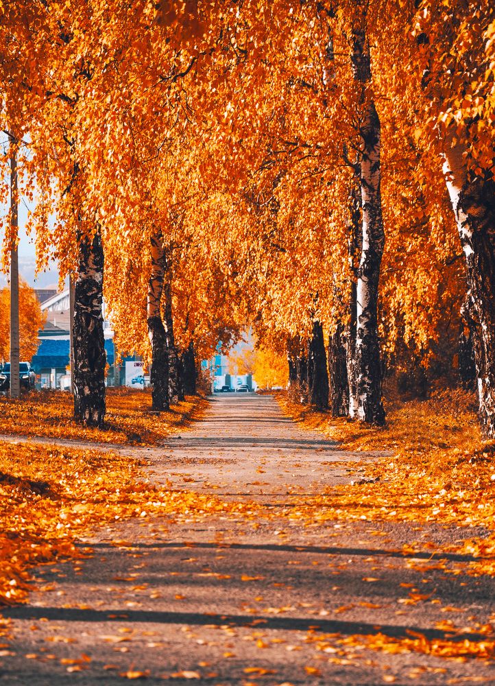 Photograph by Артём Шестаков