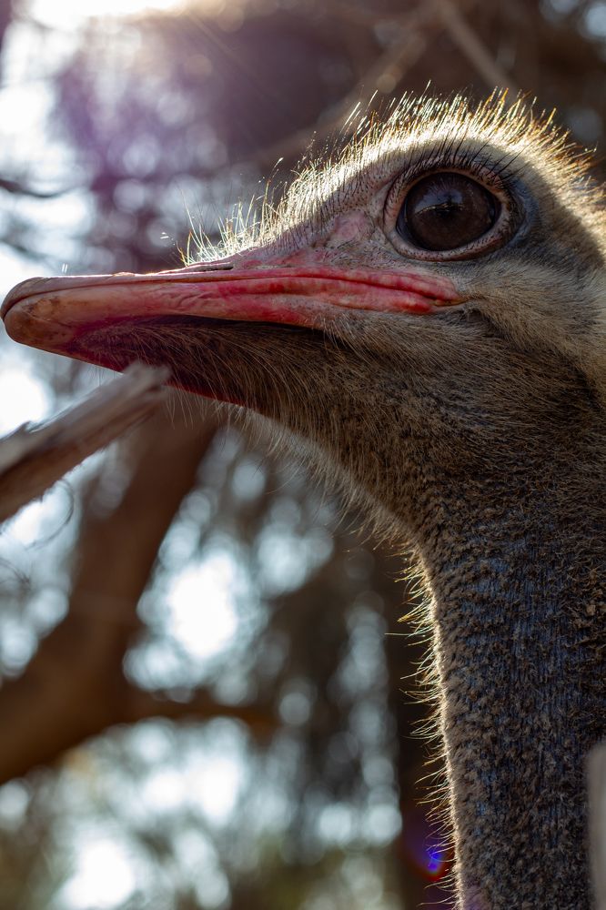 Photograph by Salma Elsherbini