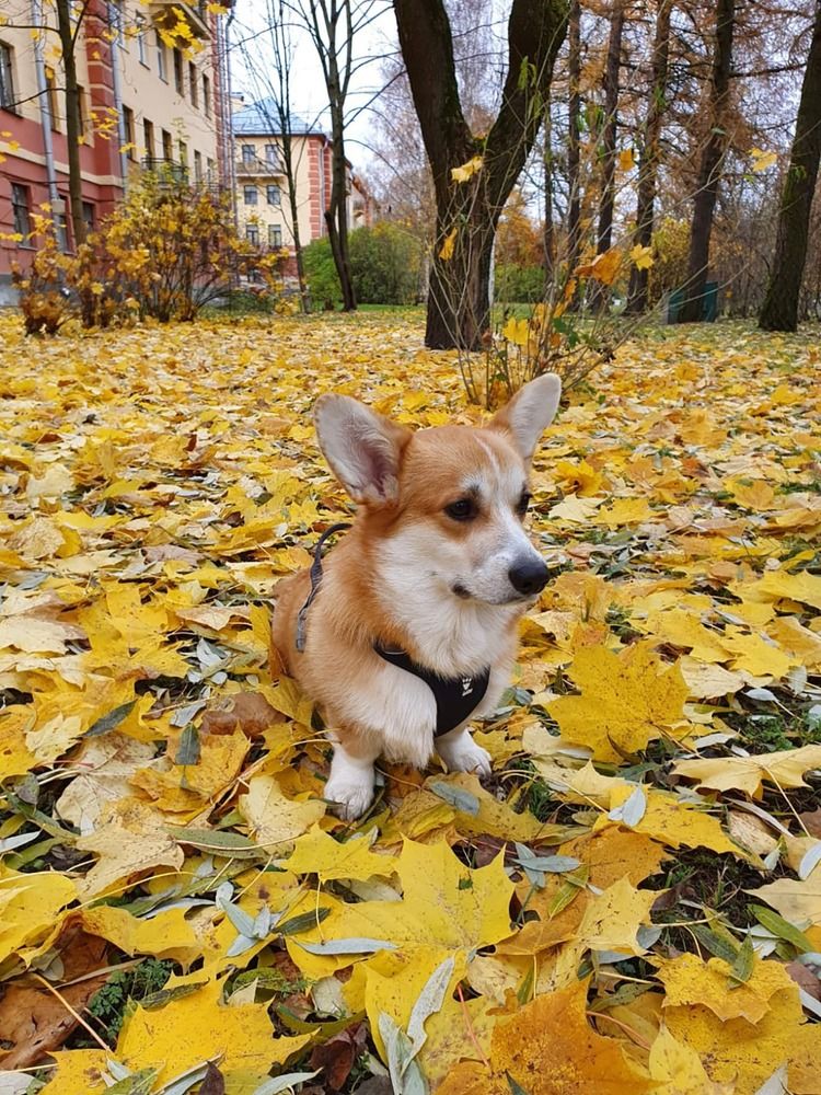 Photograph by Людмила Ковалева