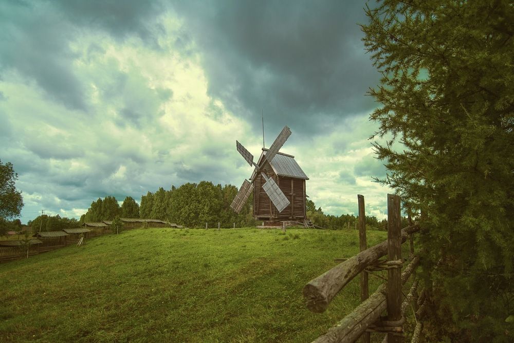 Фотография автора Виктория Шаманова