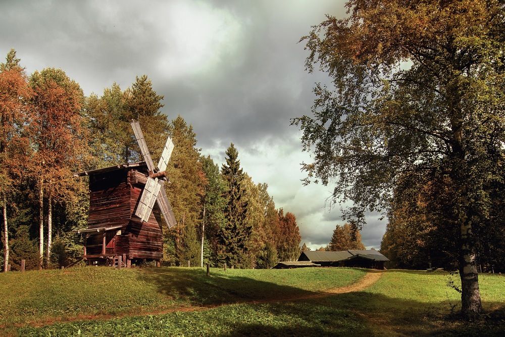 Фотография автора Виктория Шаманова