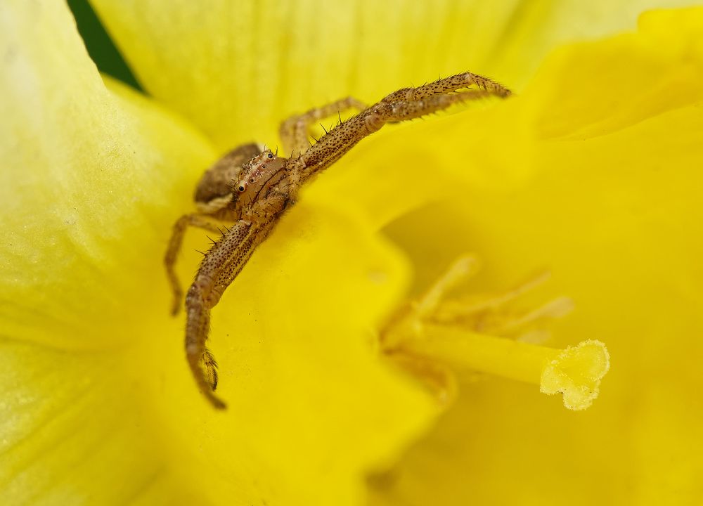 Photograph by Пётр Калачев