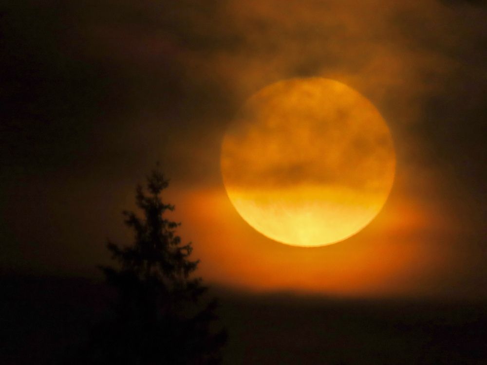 Фотография автора Сергей Бутузов