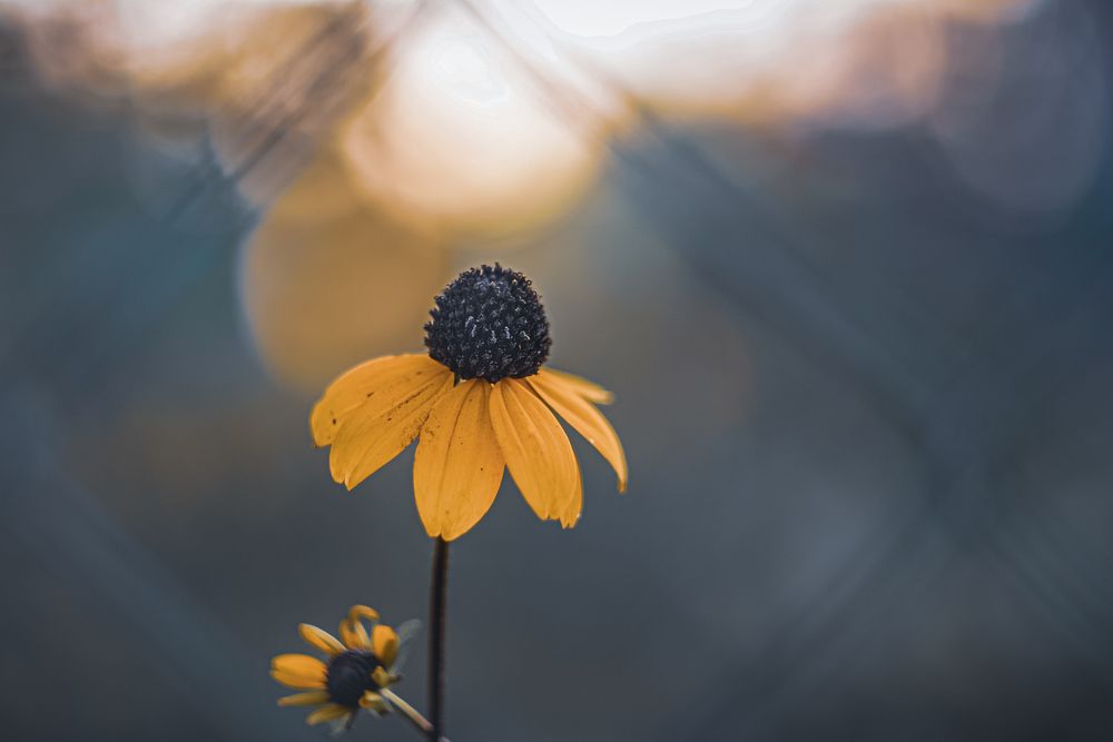 Photograph by Алена Полетаева