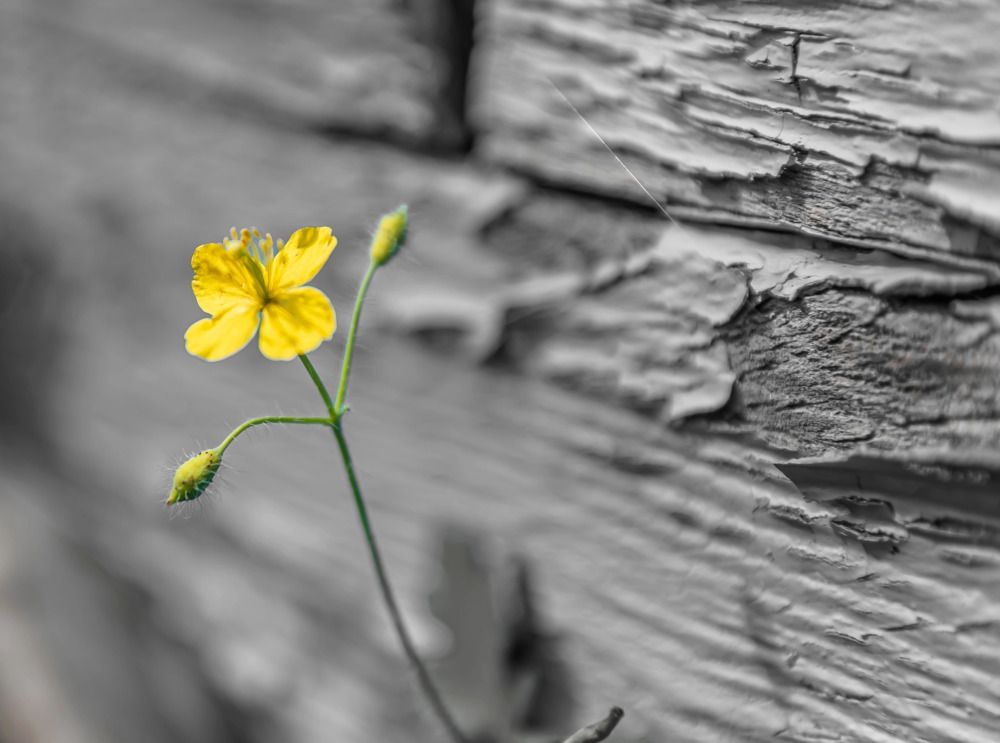 Photograph by Irina Luidinshina