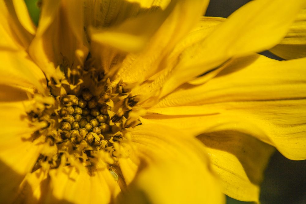 Photograph by Jorge Ivan Vasquez