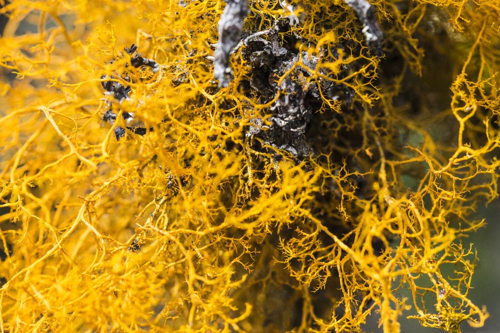 Photograph by Jorge Ivan Vasquez