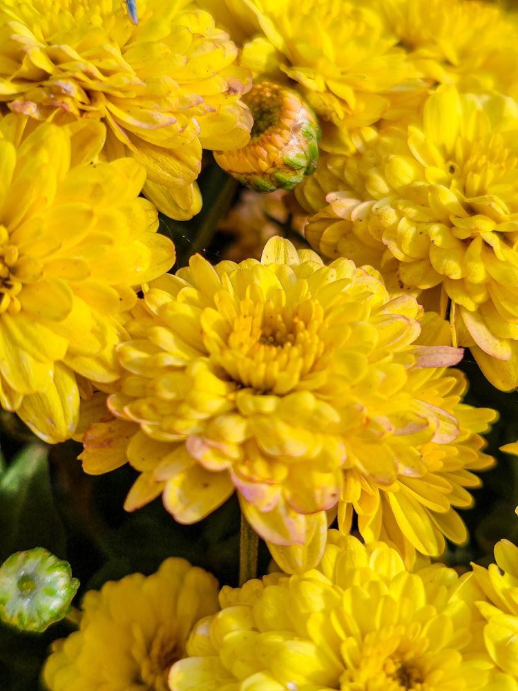 Фотография автора Любовь