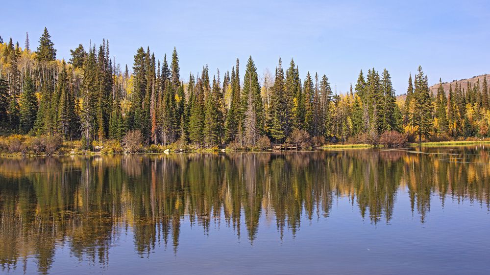 Photograph by Гришанов Пётр