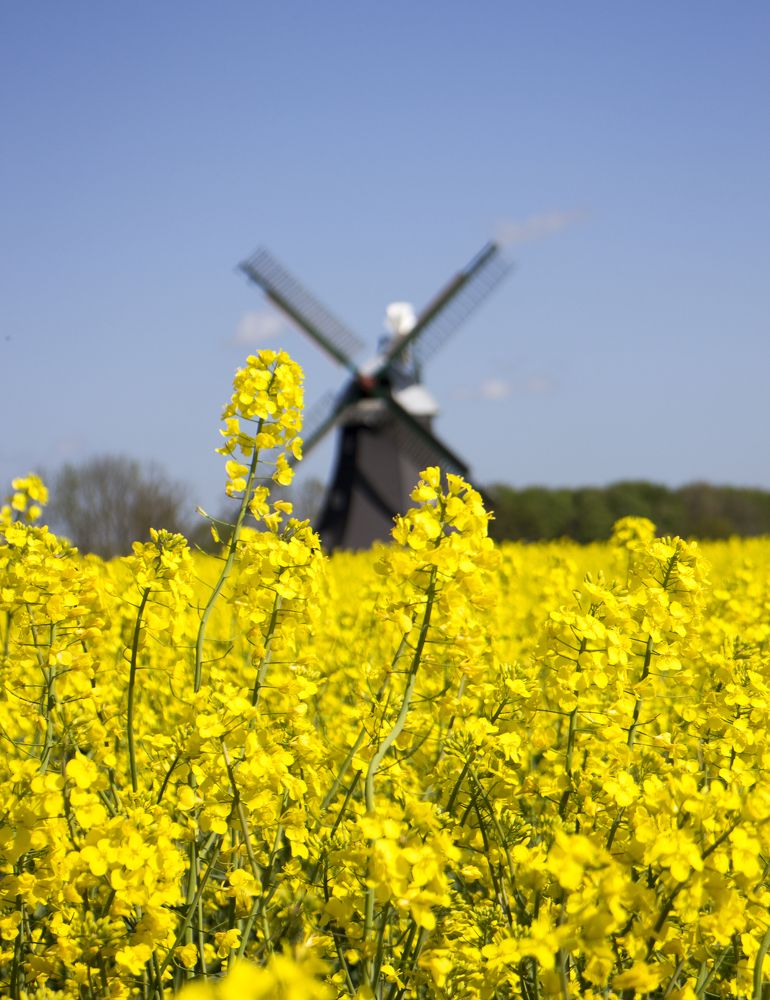 Photograph by Дьяченко Алёна