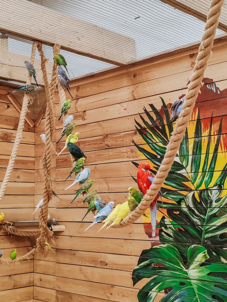 Фотография автора Любовь