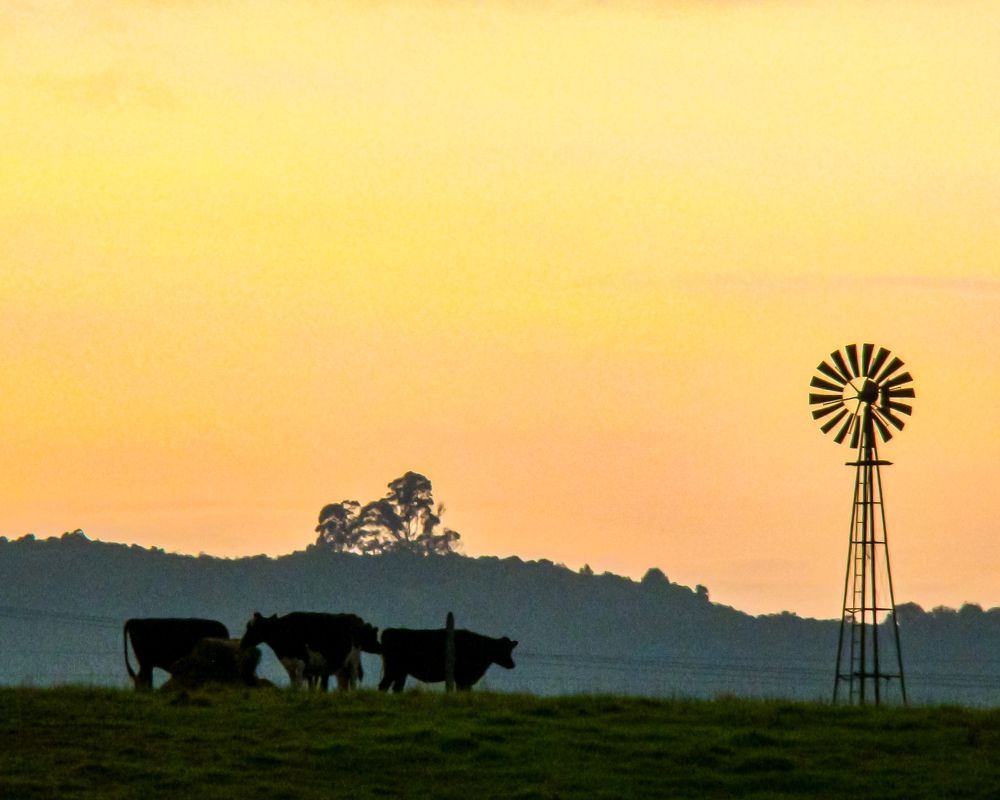 Photograph by Diego Armando Silva Sarmiento