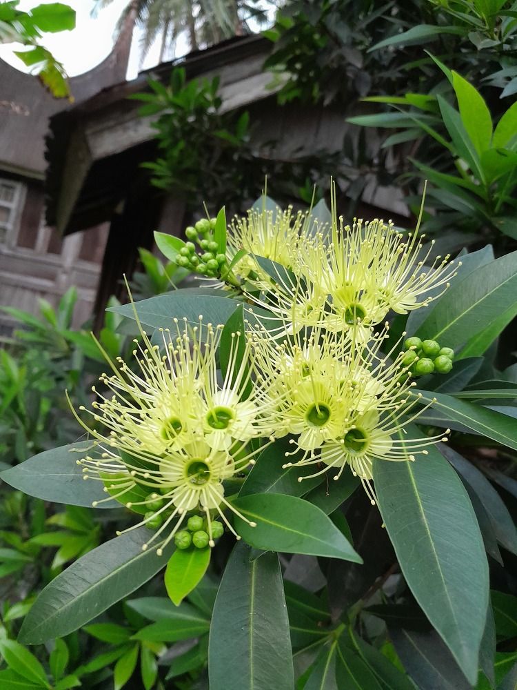 Фотография автора Zulfa