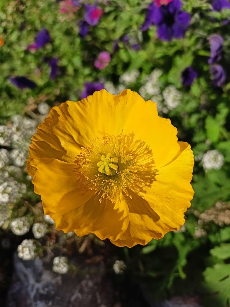 Photograph by Анастасия Горбачева