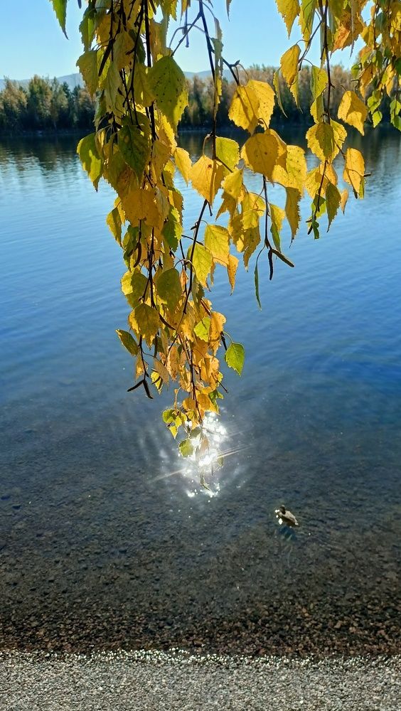 Photograph by Анастасия Горбачева