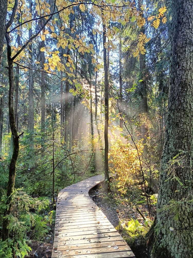 Photograph by Алексей Левичев