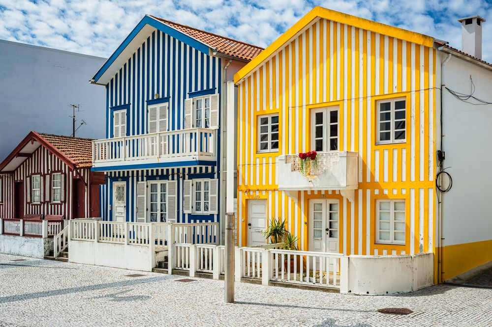 Жизнь в полосочку