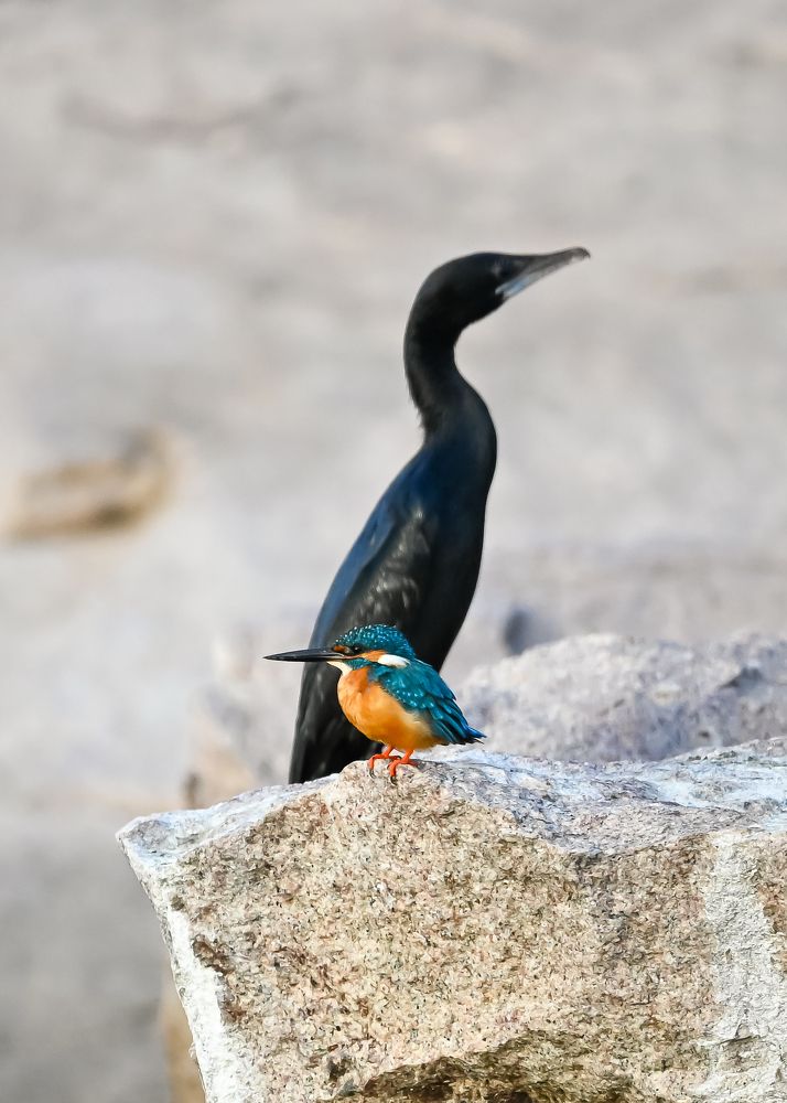 Photograph by Sathishkumar S