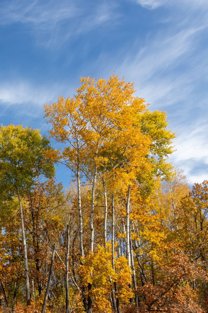 Photograph by Николай Шепелев