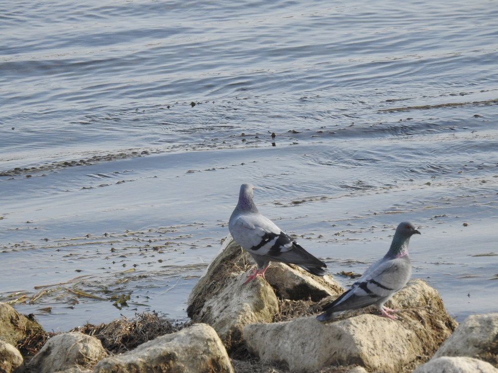 Photograph by Рустамбек Ахмадзода