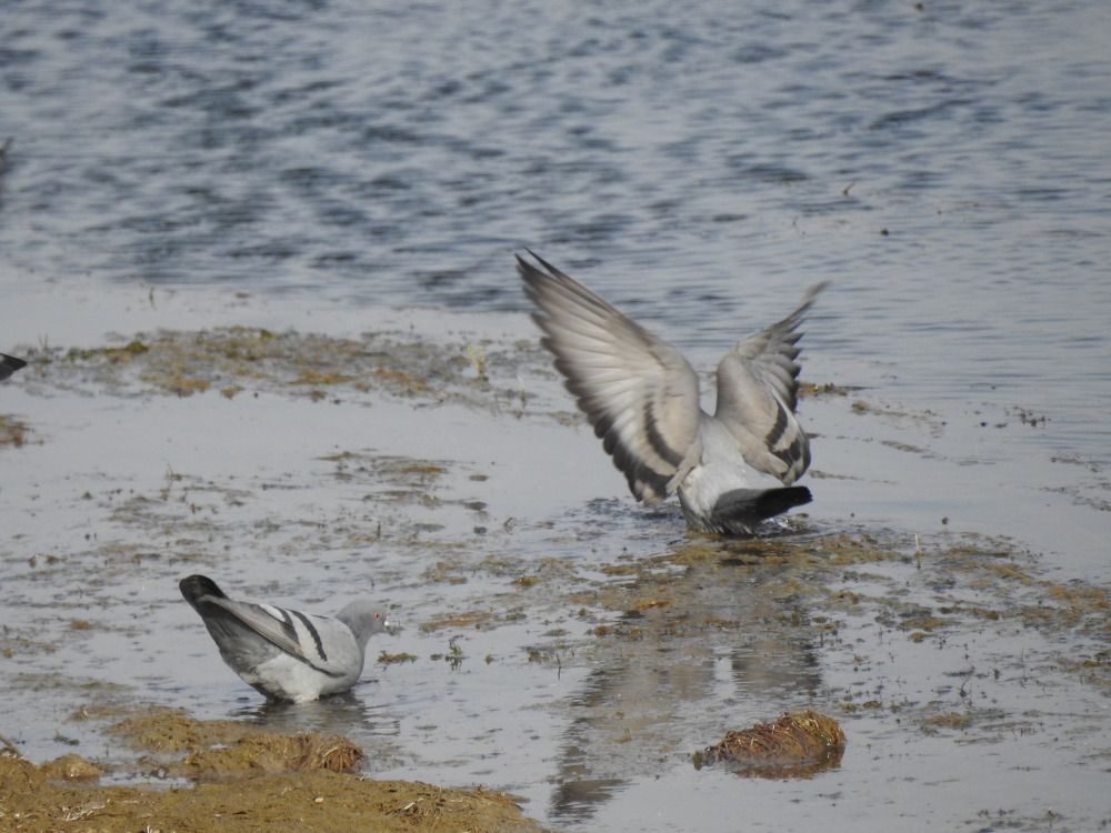 Photograph by Рустамбек Ахмадзода