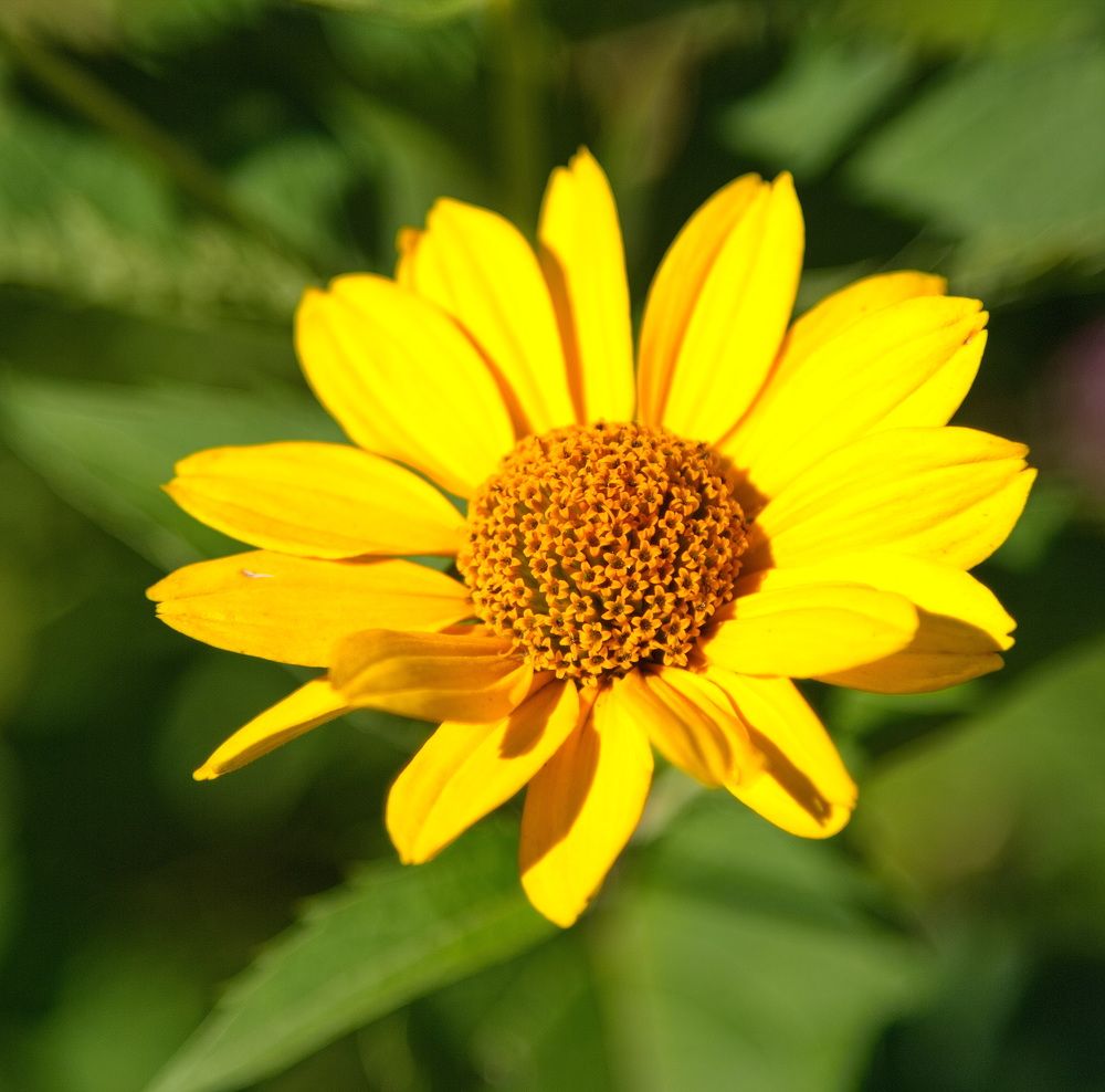 Photograph by Алексей Хазов