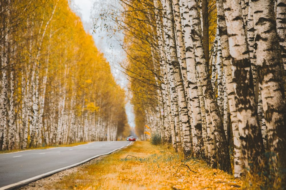 Photograph by Паша Савельев