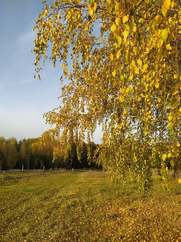 Photograph by Юрий Гордеев